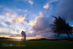 Ritz_Carlton_Kapalua_Wedding_Maui_Photographer_Mieko_Photography_038