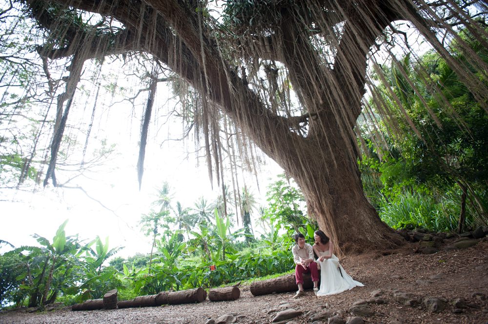 Maui Wedding Photographer, Kapalua, Maui Photography